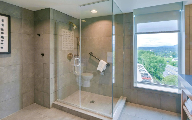 Hyatt Place Asheville/Downtown