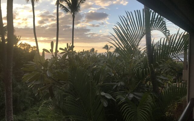 Wailea Ekolu 1606 - 2 Br Condo