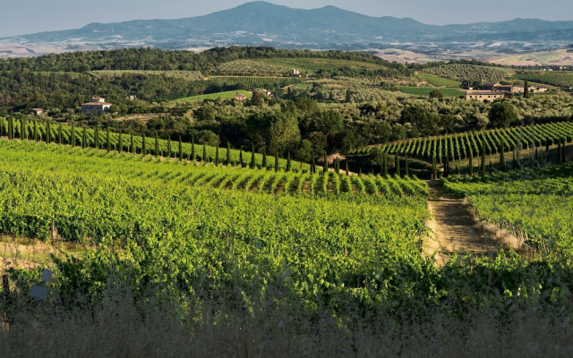 Romantic Apartment In Chianti Classico