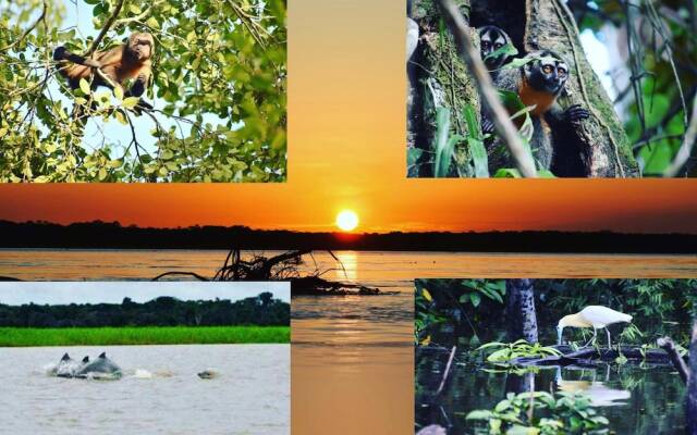 Jungle Wolf Expeditions