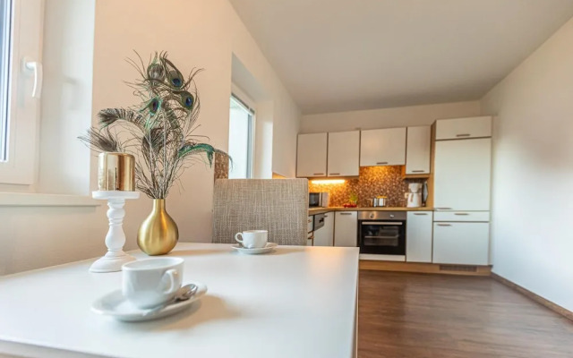 Tevini Alpine Apartments - Schmittenblick