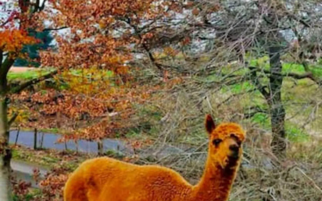 Westminster Mountain View Manor Main House