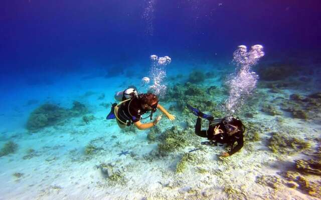 Maleo Moyo Seaside Resort