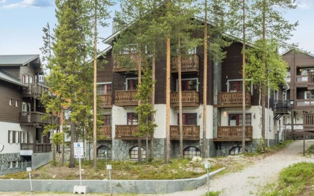 Levin otava 8