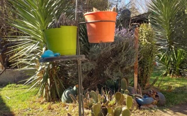Hostel Cafayate Backpackers