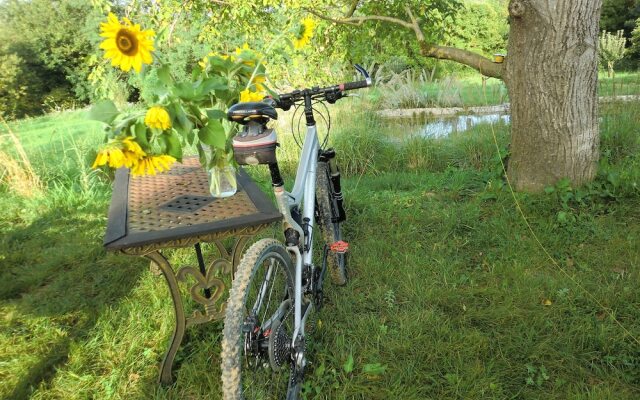 Ô Saveur de l'Instant