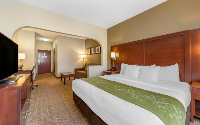 Comfort Suites Castle Rock