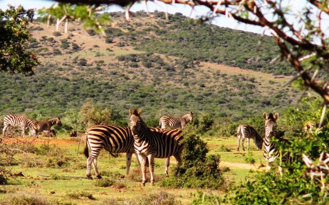 Valley Bushveld Country Lodge