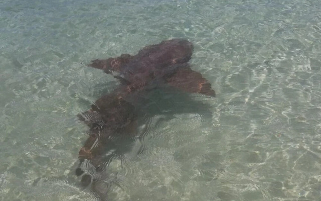 Casa Los Cerros Taganga