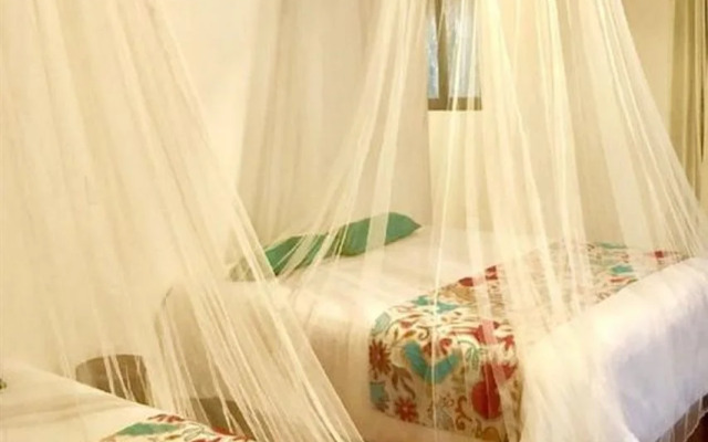 Ecovergel Riviera Maya Hotel Boutique