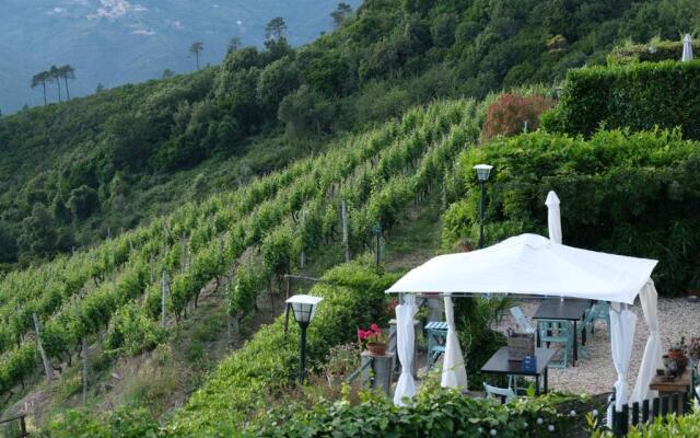 Casale In Vigna, CinqueTerreCoast