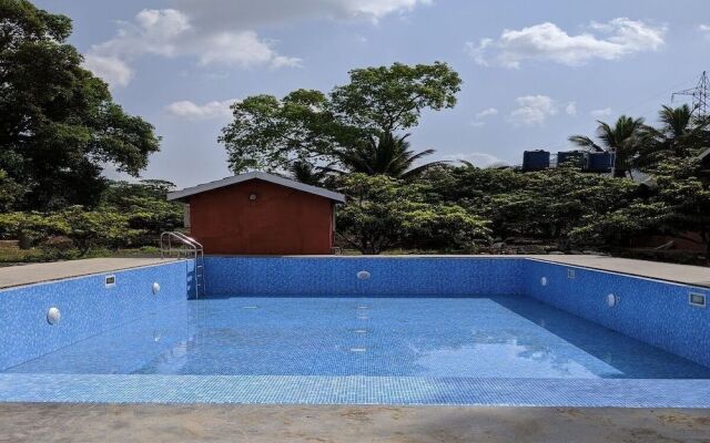 Mango Tree Farm