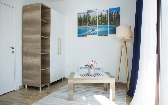 Dvori Sky View E13 Kopaonik - Free Private Parking