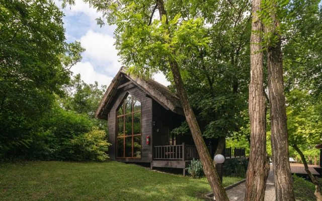 Tree House
