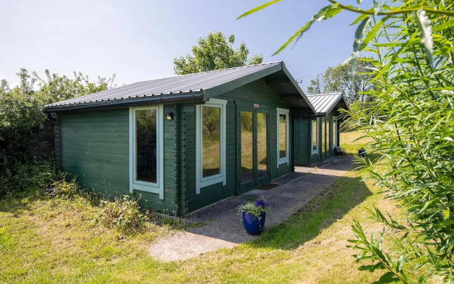 Poppy at Gorslwyd - Sound Retreat