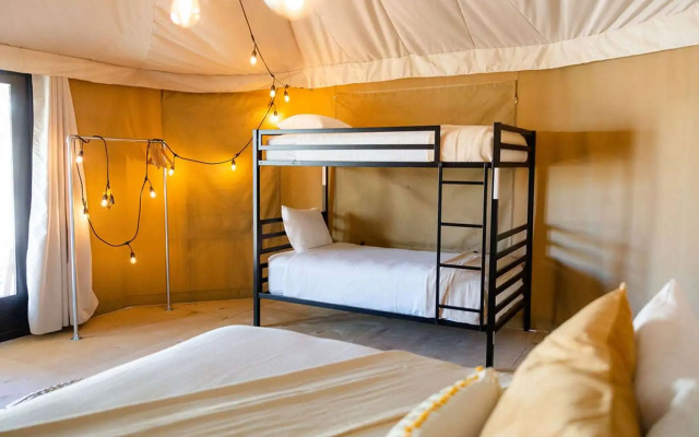 Zion Wildflower, BW Premier Collection