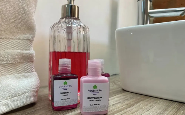 Palta 60 Valle de Guadalupe