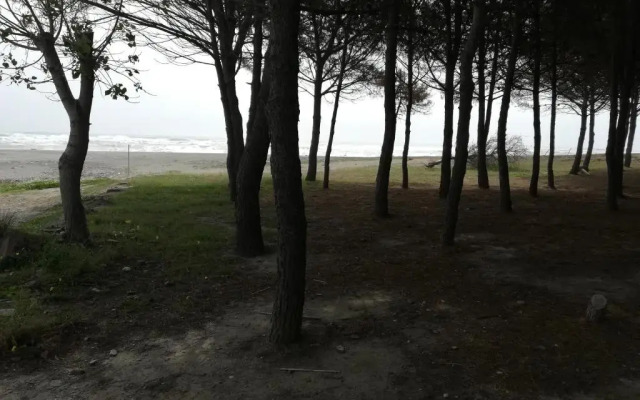 Residence Conchiglia