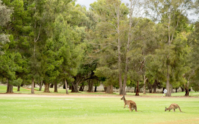 Renmark Resort
