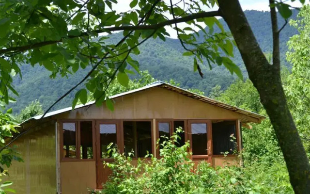 Bio Yard