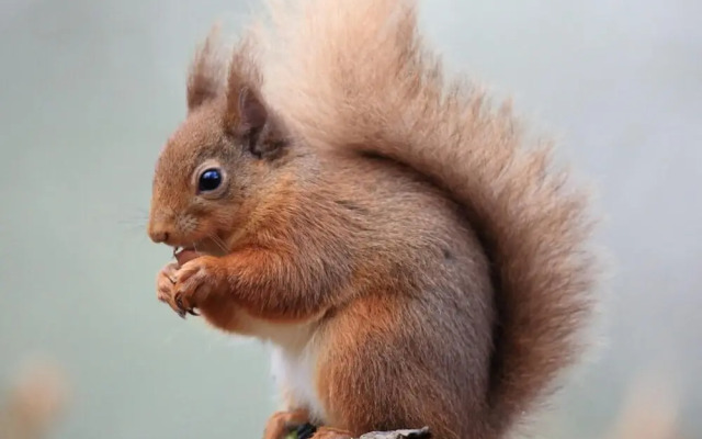 Freshwater - Hot Tub - Pet Friendly - Garden