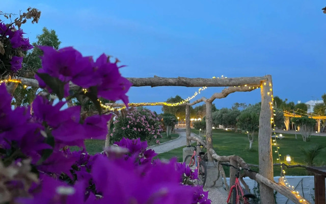 Eco Beach and Magic Garden