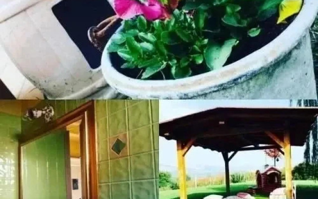 Agriturismo e Cantina Il Gualdo di Sotto