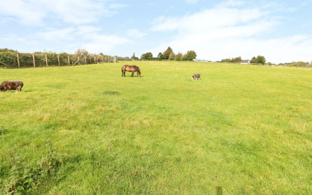 Potters Barn