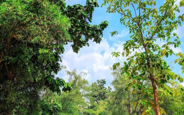 Nurture by Madpackers