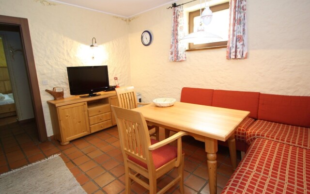 Warm Apartment in Ramsau am Dachstein With Garden