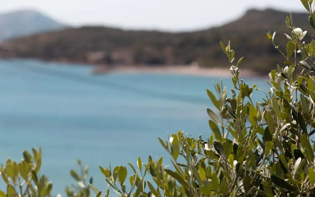 Poseidon Apartments & Villas By The Sea