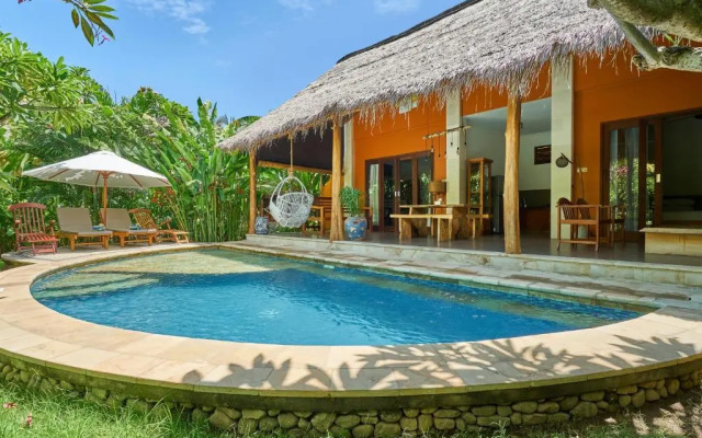 Pazzo Bali