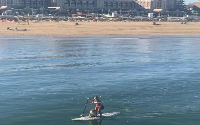Apartment in Den Haag With Balcony