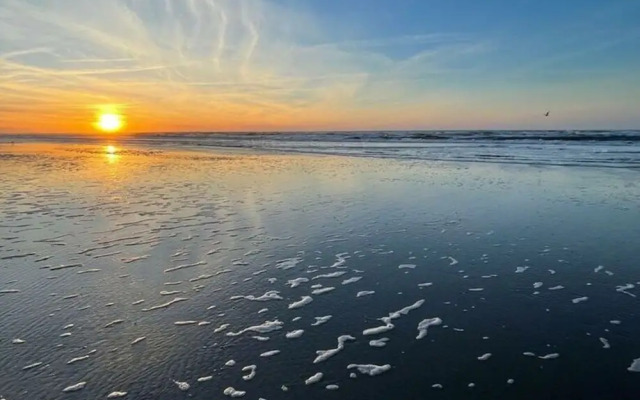 Penthuus Modern Retreat