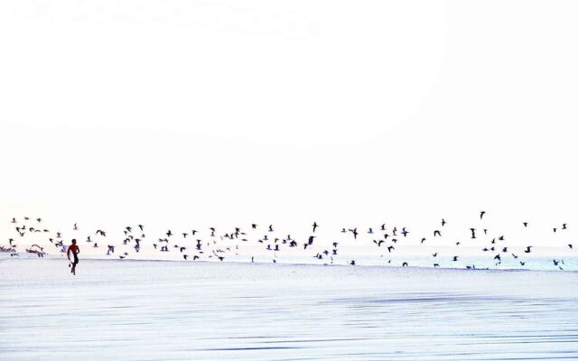 Lagon Energy Dakhla
