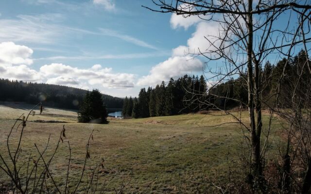 Vibrant Holiday Home in Hahnenklee near Ski Area