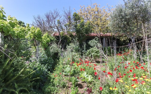 Guincho Typical House I by Homing