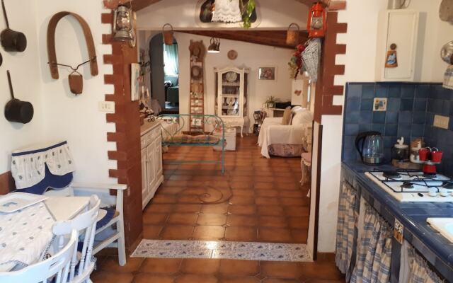 The Mountain Gardens