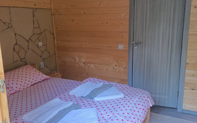 ART House Transylvania Sibiu