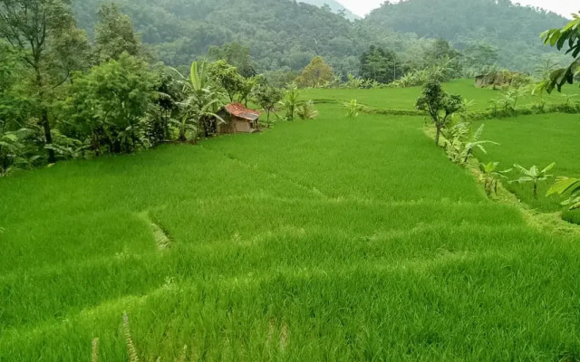 De Salak Homestay Gunung Salak RedPartner