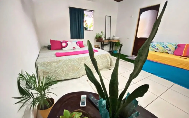 Passifloras Hostel