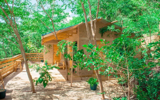 Aika Sunrise Treetops Home