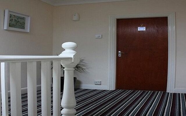 The Elmfield