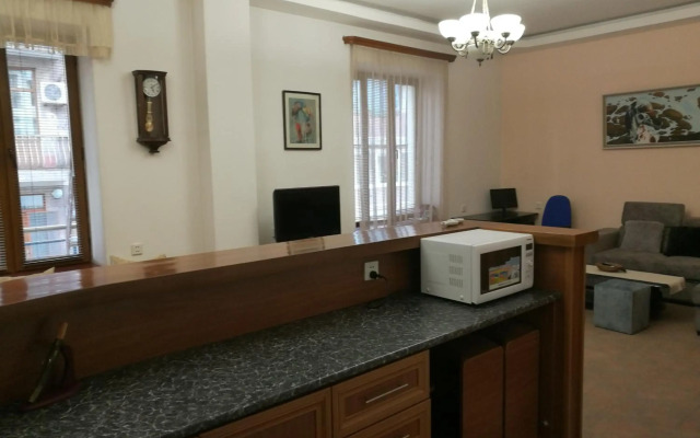 Penthouse in the City center with BBQ terrace