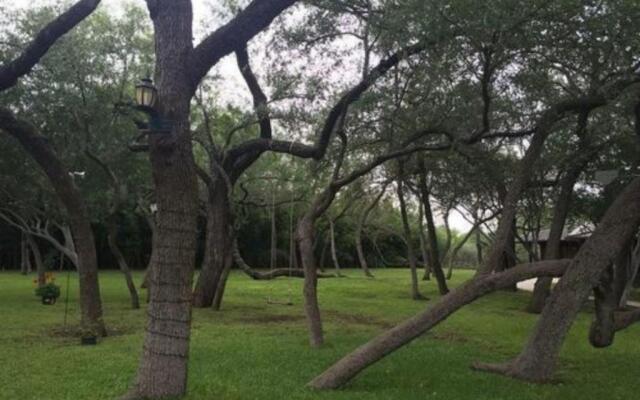 Live Oaks Bed and Breakfast