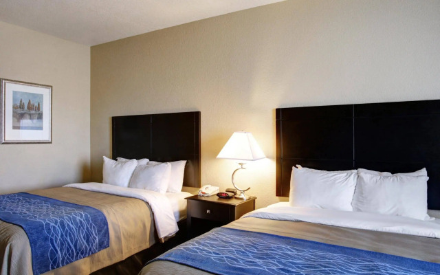 Spark by Hilton Selma