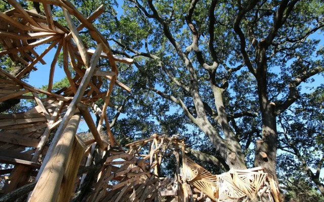 Les Bergerons Chambres d'hôtes