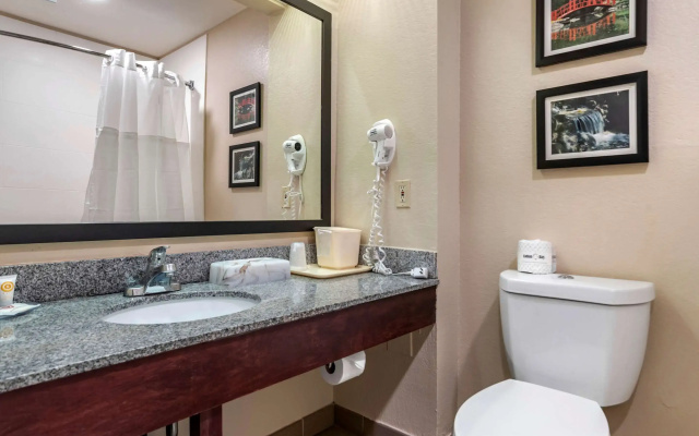 Comfort Inn Birmingham - Irondale