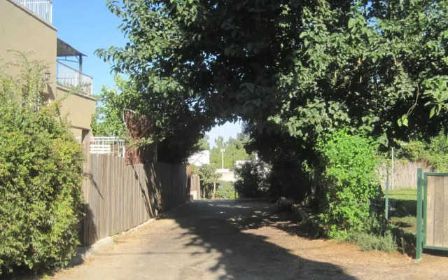 The House By The Mulberry Tree