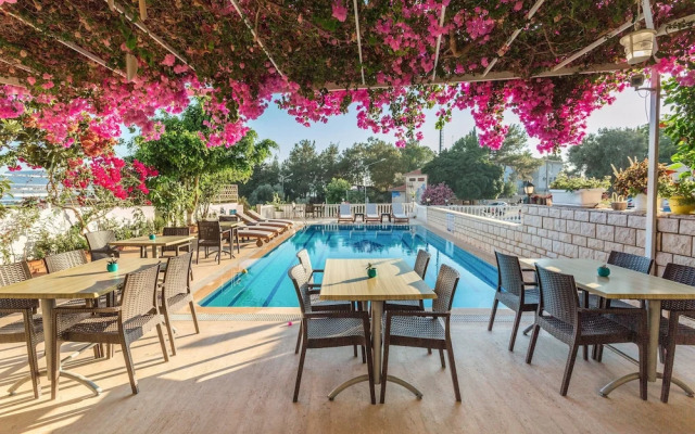 Hotel Koza